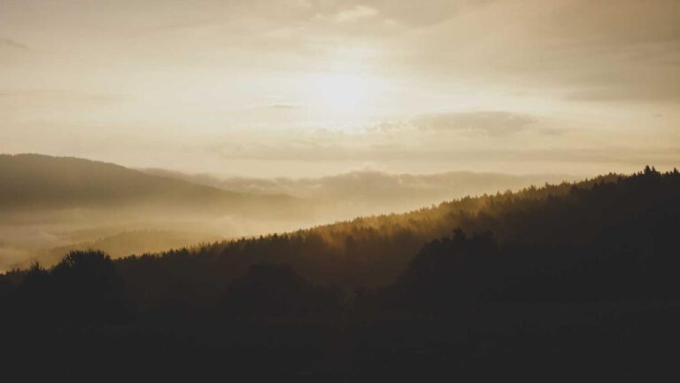 How To Request A 99Exch Master Id?